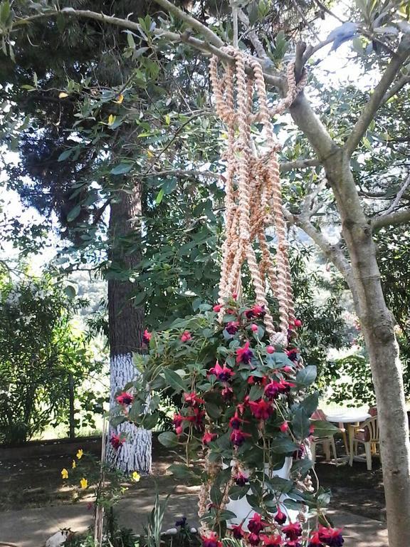 Garden Bungalow Valentina Stavros  Dış mekan fotoğraf