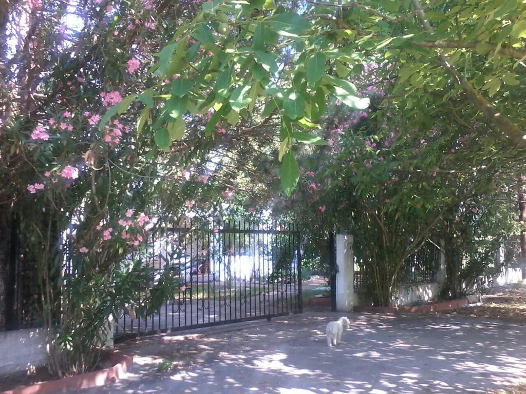 Garden Bungalow Valentina Stavros  Dış mekan fotoğraf